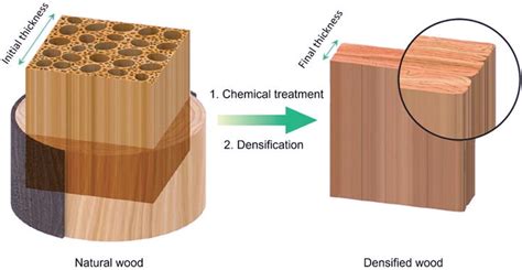 wood  engineered wood products stress  deformation intechopen