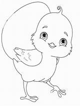 Chick Coloring sketch template