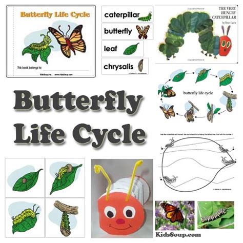 preschool butterfly  caterpillar activities games  lessons
