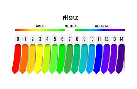 ph scale indicator  acidity alkalinity  neutral solution diagram  analysis tests