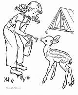 Coloring Camping Pages Kids Deer Baby Color Family Sheets Activity Printable Sheet Fun Colour Scout Outdoor House Colouring Children Raisingourkids sketch template