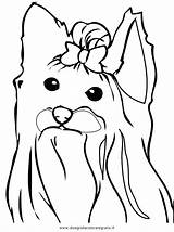Coloring Pages Yorkie Terrier Drawing Dog Line Puppy Female Beautiful 1e45 Yorkshire Highland West Printable Color Getcolorings Print Getdrawings Cartoon sketch template