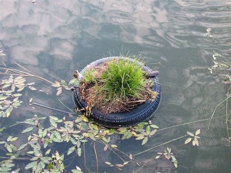 earth home garden floating gardens  stanfield marsh