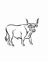 Ox Coloring Clipart Drawing Bull Clip Library Getdrawings Pages Webstockreview sketch template