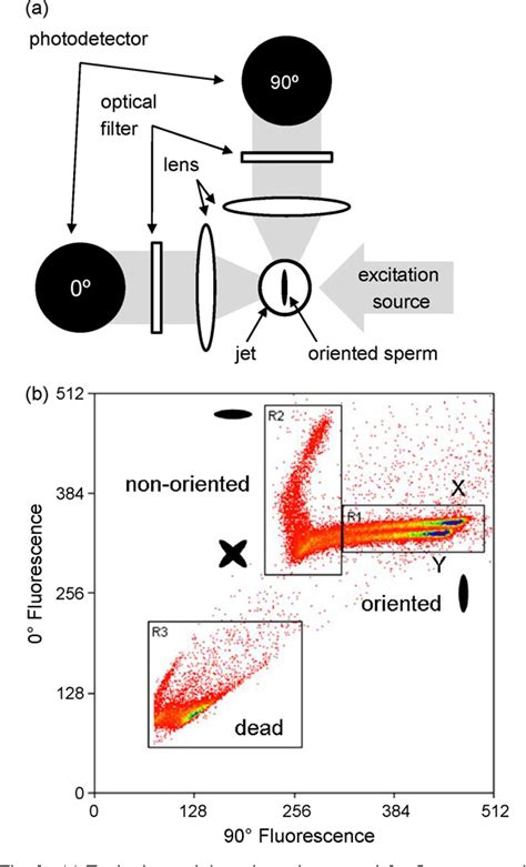 figure 3 from advances in flow cytometry for sperm sexing semantic