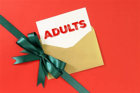 holiday gift guide  adults funtastic life
