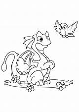 Dragon Coloring Pages Tail Malvorlage Vogel Drache Mit Color Cute Bird Getcolorings sketch template