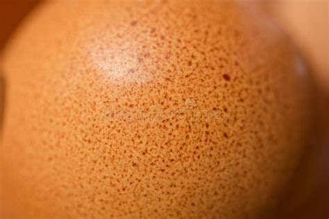 egg shell texture stock image image