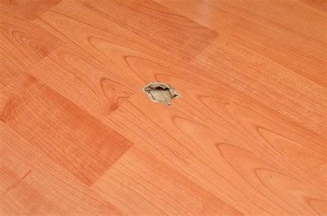 repair laminate flooring water damage  methods