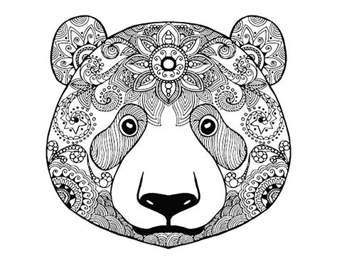 bear head bears kids coloring pages page