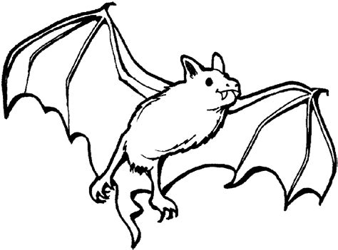 bats animal coloring pages  printable kids coloring pages