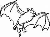 Coloring Pages Bats Animals Nocturnal Flying Sheets Kids sketch template