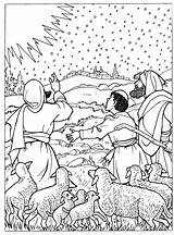 Kleurplaten Herders Kerstverhaal Consola Bijbelse Typisch Bijbel Vind sketch template