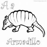 Armadillo sketch template