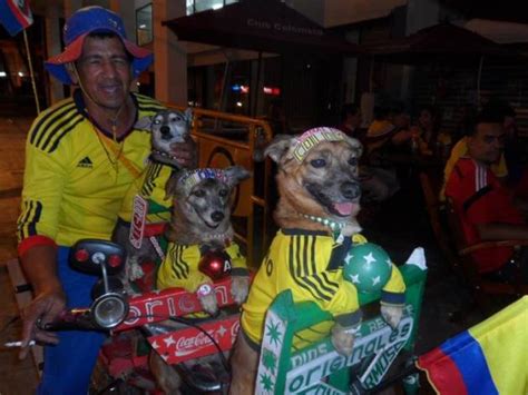 The Sexiest Colombian Fans â€“ World Cup Brazil 2014 Part7