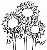 Sunflower Coloring Pages Drawing Flower Printable sketch template