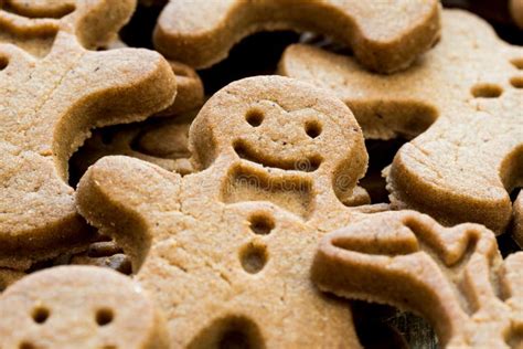 plain gingerbread man stock photo image  baking homemade