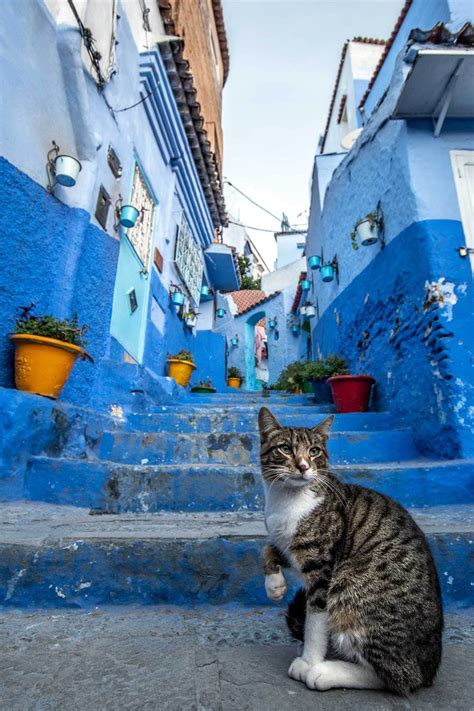 photo spots  chefchaouen  edition   map