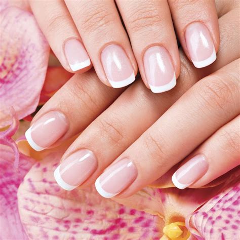 regal nails franchise information  cost fees  facts