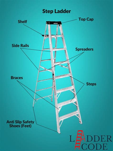guide  learn parts  stepextension ladder names