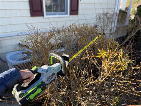 ego hedge trimmer review demo  cordless electric trimmer