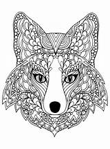 Fox Coloring Head Foxes Pages Beutiful Beautiful Adult Animals sketch template