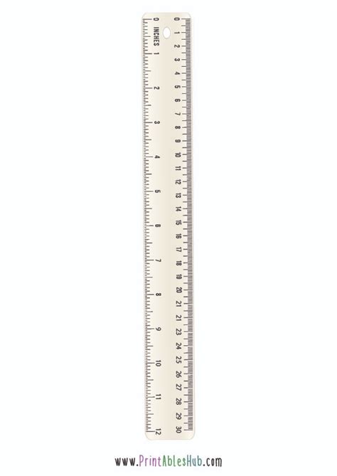 printable   ruler templates  blank template  fractions  included