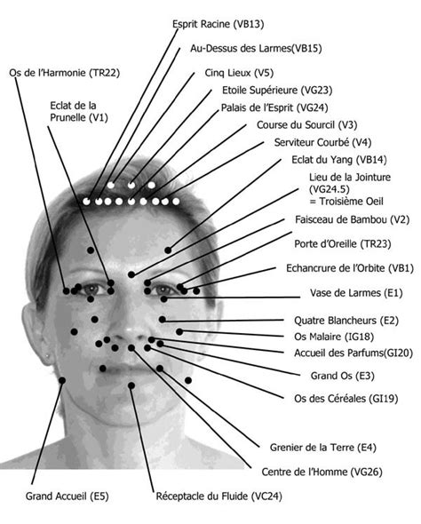 les points d acupression du visage planche détaillée