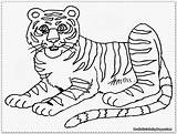 Harimau Mewarnai Kartun Realistic Lucu Mewarnaigambar Getcolorings Critically Endangered sketch template