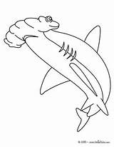 Hammerhead Mako Martillo Requin Coloriage Marteau Great Hellokids Tiburon Colorier Imagination Soar Designlooter Tiburones Línea Imprimir sketch template