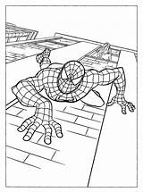 Spiderman Coloring Printable Pages Getcolorings sketch template