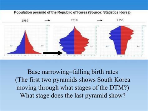 ppt the population pyramid displays the age and sex structure of a