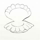 Clam Draw Step Mouth Drawing Shells Detail Feltmagnet sketch template