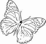 Coloring Butterfly Pages Realistic Getdrawings Exclusive Entitlementtrap sketch template