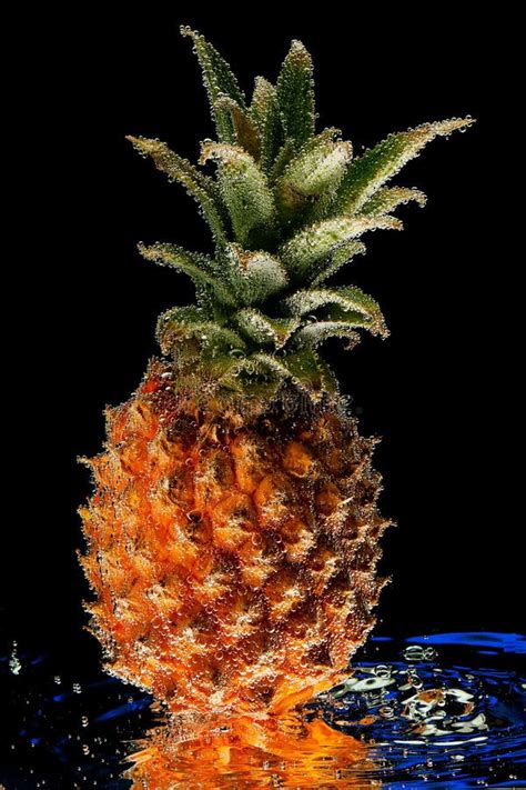pineapple ananas comosus fruit underwater stock photo image  background action