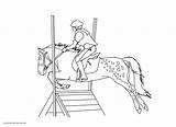 Coloring Horse Pages Show Printable Jumping Popular Horses sketch template