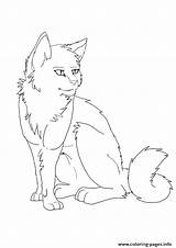 Cats Firestar Getdrawings Deviantart Kolorowanki Momjunction sketch template