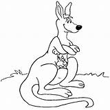 Canguro Colorat Canguros Mama Canguri Colorear Animale Kangaroo Cangur Planse P10 Tiernos Kangguru Kangaroos Bagus Mewarnai Primiiani Menggambar Pooh Winnie sketch template