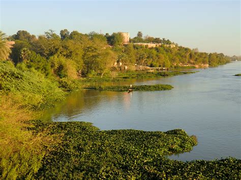 file rive du niger dans niamey wikimedia commons