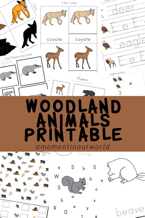 woodland animals printable pack simple living creative learning