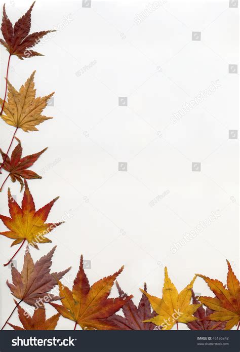 fall leaves border page  stationary stock photo  shutterstock
