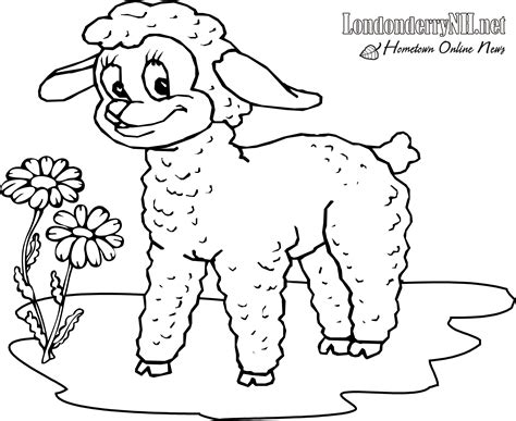 lamb coloring page londonderry hometown news id