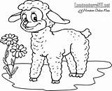 Lamb Agneau Lambs Cordeiro Kindergarten Corderos Ovejas Pintarcolorir Getdrawings Siguientes Coloriages Guide sketch template