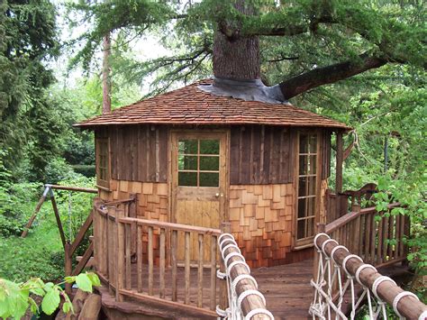 Tree House Designs To Live In House Facade Ideas Exterior House