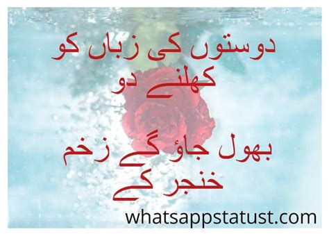 dosti poetry dosti shayari  urdu  english text   images