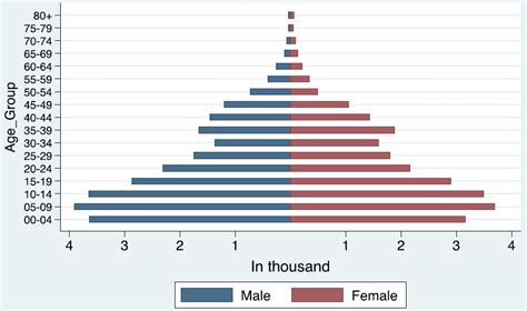 Age And Sex Distribution For The Municipality Of Buluan