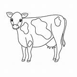 Koeien Kleurplaat Koe Leuke sketch template
