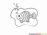 Goldfisch Ausmalen Malvorlage Ausmalbilder Tiere sketch template