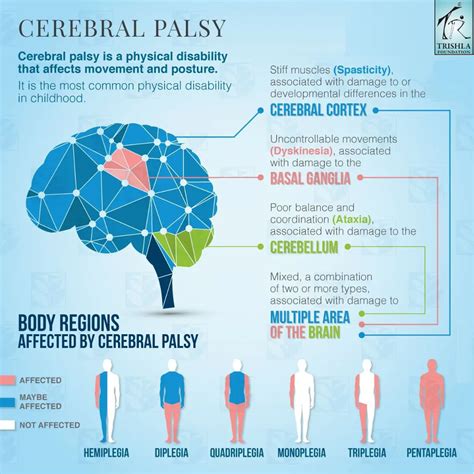 cerebral palsy brain