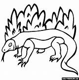 Komodo Dragon Coloring Pages Colouring Thecolor Color Fantasy Printable Clip Use Designlooter Rated Activities Zoo Clipart 565px 33kb sketch template